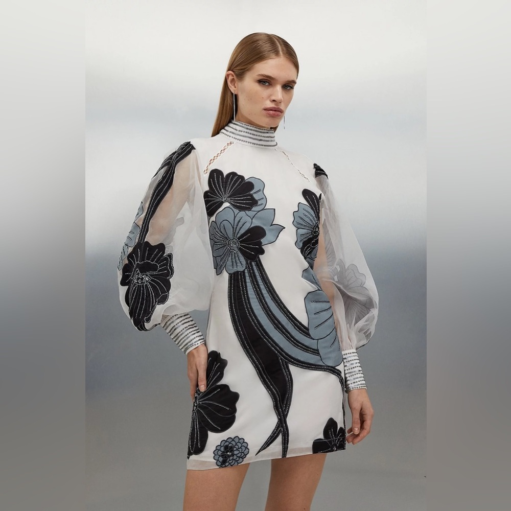 Applique Organdie Floral Graphic Woven Mini Dress